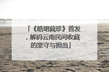 《皓珺藏珍》首发，解码云南民间收藏的坚守与担当