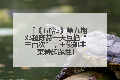 《五哈5》第九期邓超陈赫一天互掐“三百次”，王俊凯韭菜舞超魔性
