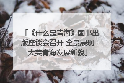 《什么是青海》图书出版座谈会召开 全景展现大美青海发展新貌
