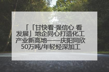 「甘快看·强信心 看发展」地企同心打造化工产业新高地——庆阳同欣50万吨/年轻烃深加工项目建设见闻