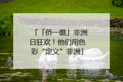 「侨一瞧」非洲日狂欢！他们用色彩“定义”非洲