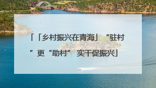 「乡村振兴在青海」“驻村”更“助村” 实干促振兴