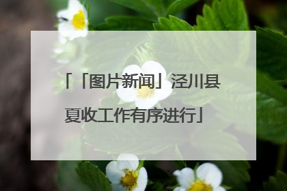 「图片新闻」泾川县夏收工作有序进行