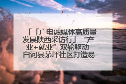「广电融媒体高质量发展陕西采访行」“产业+就业”双轮驱动 白河县茅坪社区打造易地搬迁后扶新样本