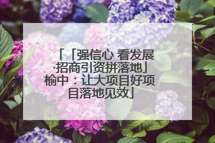「强信心 看发展·招商引资拼落地」榆中：让大项目好项目落地见效