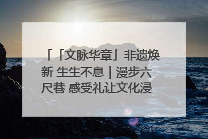 「文脉华章」非遗焕新 生生不息｜漫步六尺巷 感受礼让文化浸润的“巷”往生活