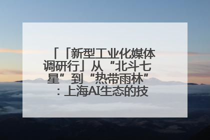 「新型工业化媒体调研行」从“北斗七星”到“热带雨林”：上海AI生态的技术商业共生密码