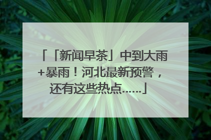 「新闻早茶」中到大雨+暴雨！河北最新预警，还有这些热点……