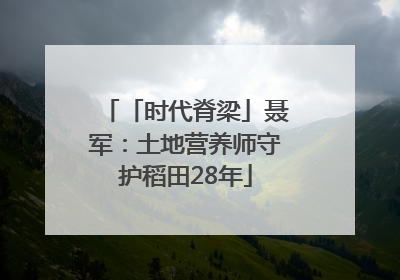 「时代脊梁」聂军：土地营养师守护稻田28年