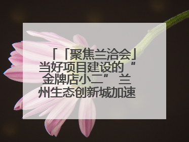 「聚焦兰洽会」当好项目建设的“金牌店小二” 兰州生态创新城加速推进项目建设