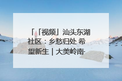 「视频」汕头东湖社区：乡愁归处 希望新生｜大美岭南·百村焕新记