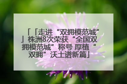 「走进“双拥模范城”」株洲8次荣获“全国双拥模范城”称号 厚植“双拥”沃土谱新篇