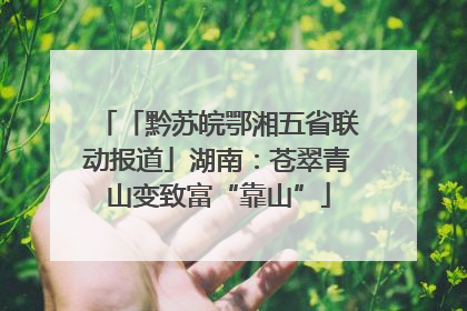 「黔苏皖鄂湘五省联动报道」湖南：苍翠青山变致富“靠山”