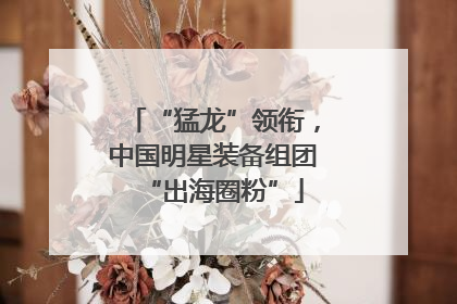 “猛龙”领衔，中国明星装备组团“出海圈粉”