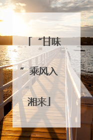 “甘味”乘风入湘来