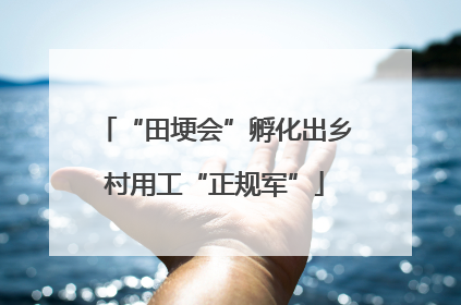 “田埂会”孵化出乡村用工“正规军”