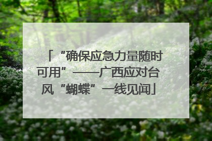 “确保应急力量随时可用”——广西应对台风“蝴蝶”一线见闻