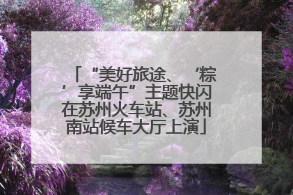 “美好旅途、‘粽’享端午”主题快闪在苏州火车站、苏州南站候车大厅上演