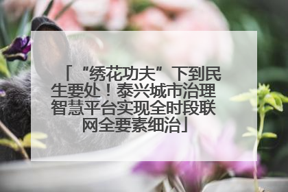 “绣花功夫”下到民生要处！泰兴城市治理智慧平台实现全时段联网全要素细治
