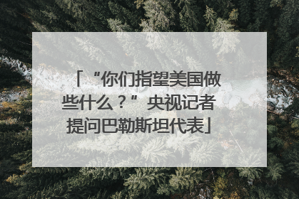 “你们指望美国做些什么？”央视记者提问巴勒斯坦代表