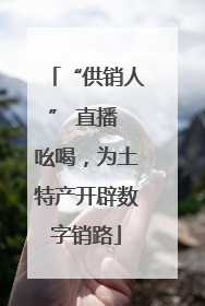 “供销人” 直播 吆喝，为土特产开辟数字销路