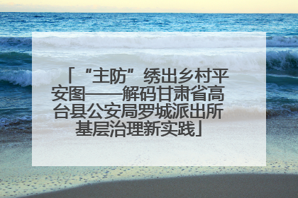 “主防”绣出乡村平安图——解码甘肃省高台县公安局罗城派出所基层治理新实践