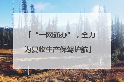 “一网通办”,全力为夏收生产保驾护航