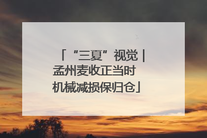 “三夏”视觉｜孟州麦收正当时 机械减损保归仓