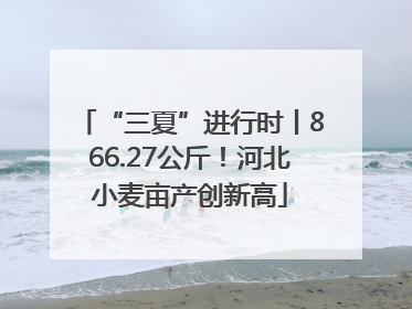 “三夏”进行时丨866.27公斤！河北小麦亩产创新高