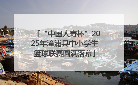“中国人寿杯”2025年漳浦县中小学生篮球联赛圆满落幕