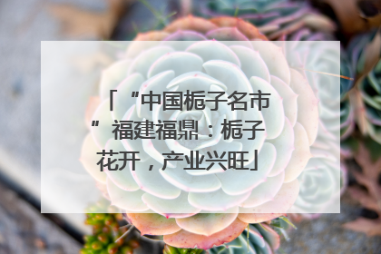 “中国栀子名市”福建福鼎：栀子花开，产业兴旺