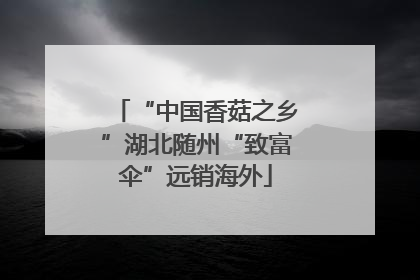 “中国香菇之乡”湖北随州“致富伞”远销海外