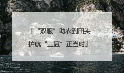 “双服”助农到田头 护航“三夏”正当时