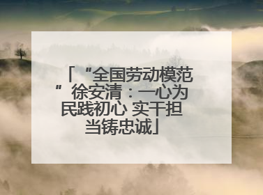 “全国劳动模范”徐安清：一心为民践初心 实干担当铸忠诚