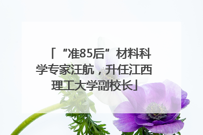 “准85后”材料科学专家汪航，升任江西理工大学副校长
