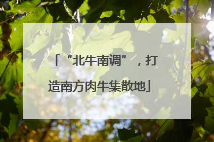“北牛南调”，打造南方肉牛集散地