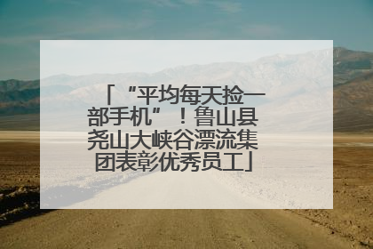 “平均每天捡一部手机”！鲁山县尧山大峡谷漂流集团表彰优秀员工