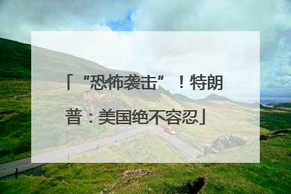 “恐怖袭击”！特朗普：美国绝不容忍