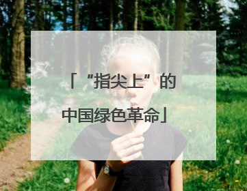 “指尖上”的中国绿色革命