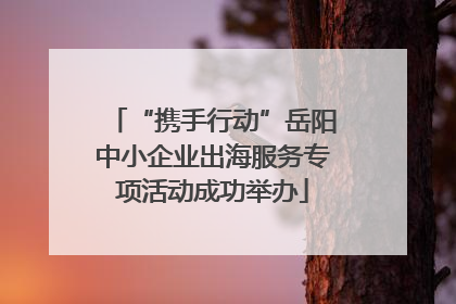 “携手行动”岳阳中小企业出海服务专项活动成功举办