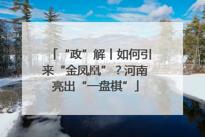 “政”解丨如何引来“金凤凰”？河南亮出“一盘棋”