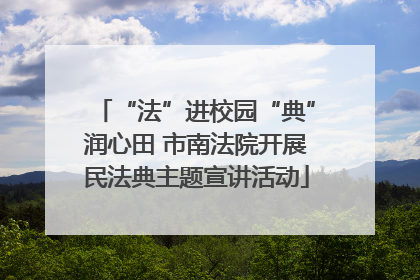 “法”进校园“典”润心田 市南法院开展民法典主题宣讲活动