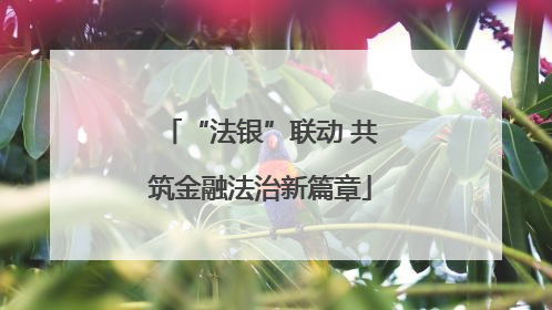 “法银”联动 共筑金融法治新篇章