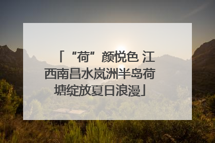 “荷”颜悦色 江西南昌水岚洲半岛荷塘绽放夏日浪漫