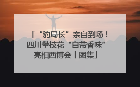 “豹局长”亲自到场!四川攀枝花“自带香味”亮相西博会丨图集