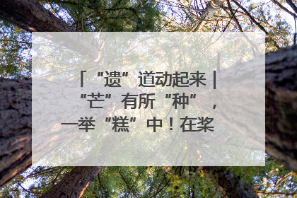 “遗”道动起来｜“芒”有所“种”，一举“糕”中！在桨影拳风里，邂逅最“动”人的风景！（内含报名信息）
