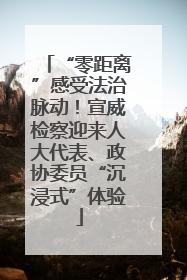 “零距离”感受法治脉动！宣威检察迎来人大代表、政协委员“沉浸式”体验