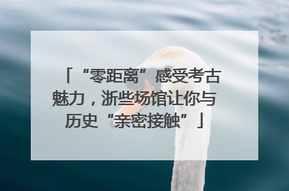“零距离”感受考古魅力，浙些场馆让你与历史“亲密接触”