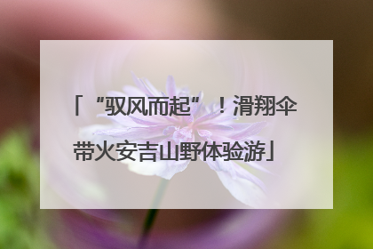 “驭风而起”！滑翔伞带火安吉山野体验游