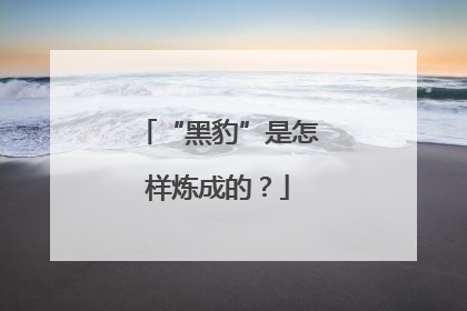“黑豹”是怎样炼成的？